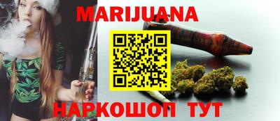 крисы Новодвинск